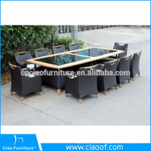 Tropical Style Aluminum Frame 10 Piece Dining Table
